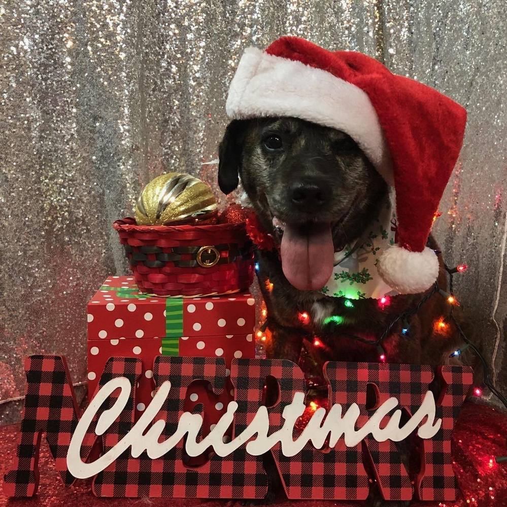 Meet your Posher, Deb